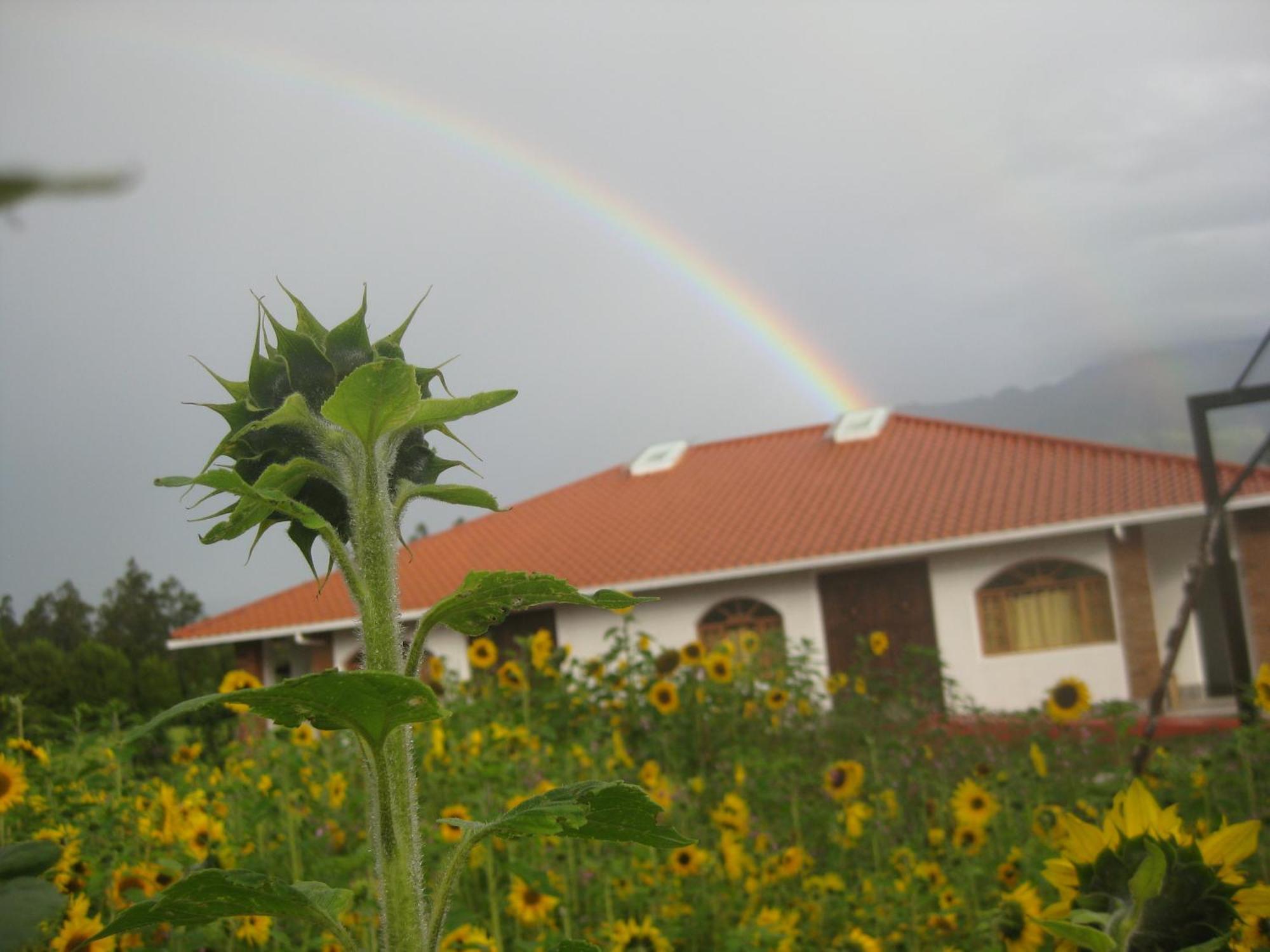 Hosteria Oro Azul โกตากาชี ภายนอก รูปภาพ